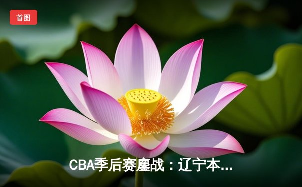 CBA季后赛鏖战：辽宁本钢加时险胜广东宏远，赵继伟砍下35分创生涯新高
